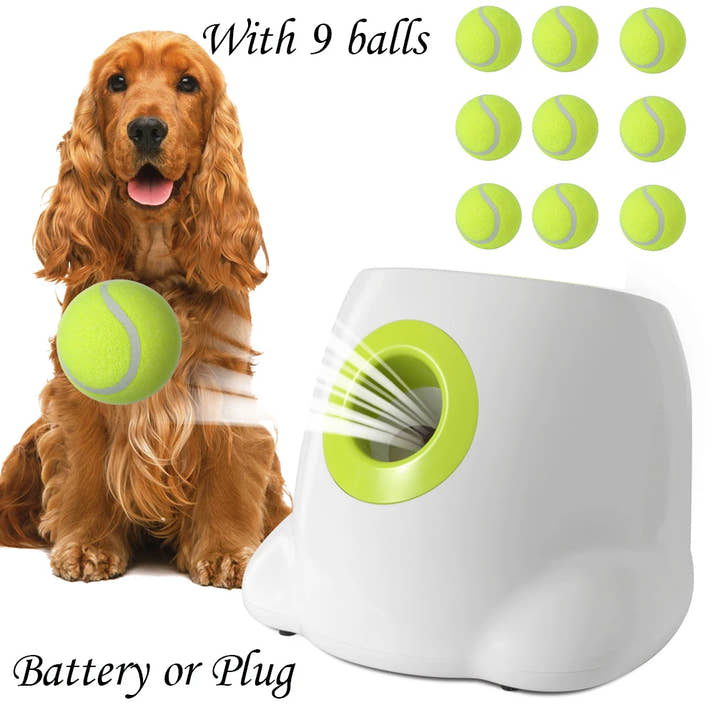 Automatischer Ballwerfer für Hunde™